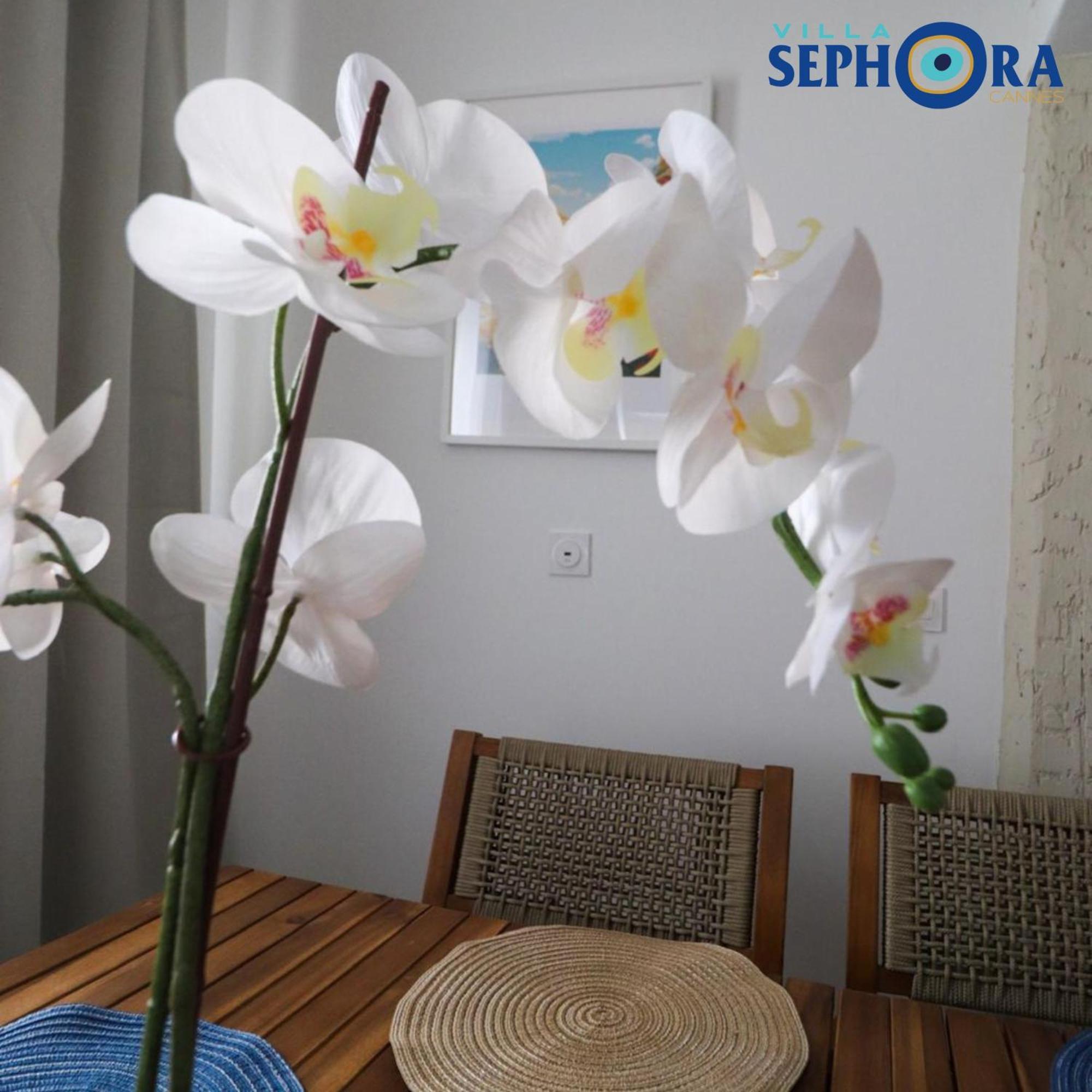 Villa Sephora Cannes Esterno foto